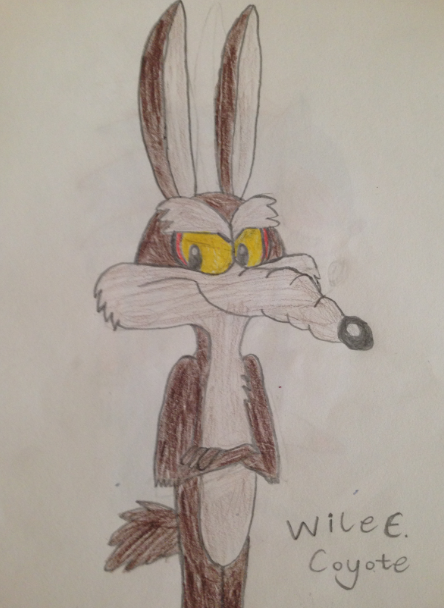 coyotesketch