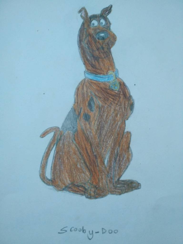 This image has an empty alt attribute; its file name is img_20190214_124116.jpg