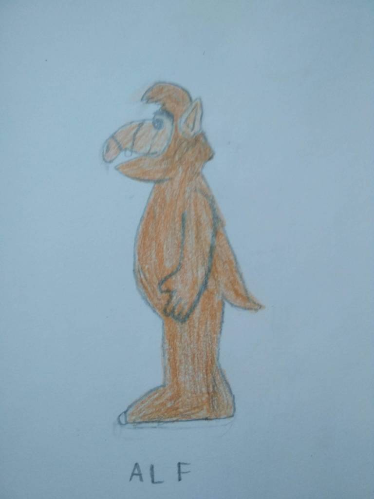 This image has an empty alt attribute; its file name is img_20190214_124138.jpg